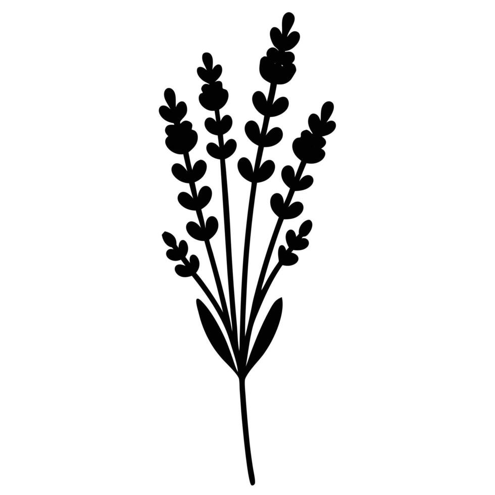Black silhouette of a lavender sprig with clustered flowers botanical plant vector