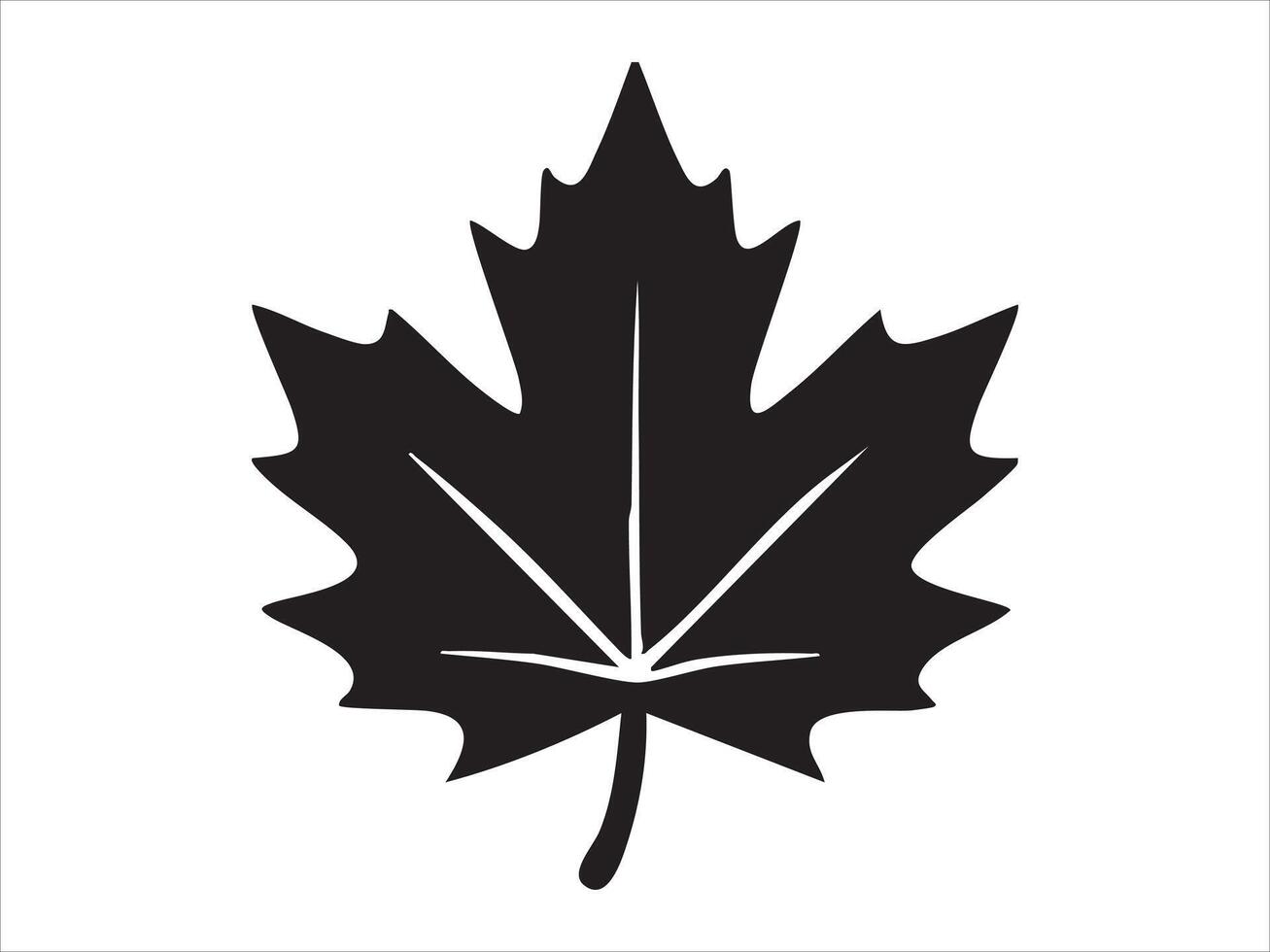 Black silhouette of maple leaf isolated on white background, graphic illustration. concept of nature, autumn symbol, botanical icon, canadian emblem, design element vector