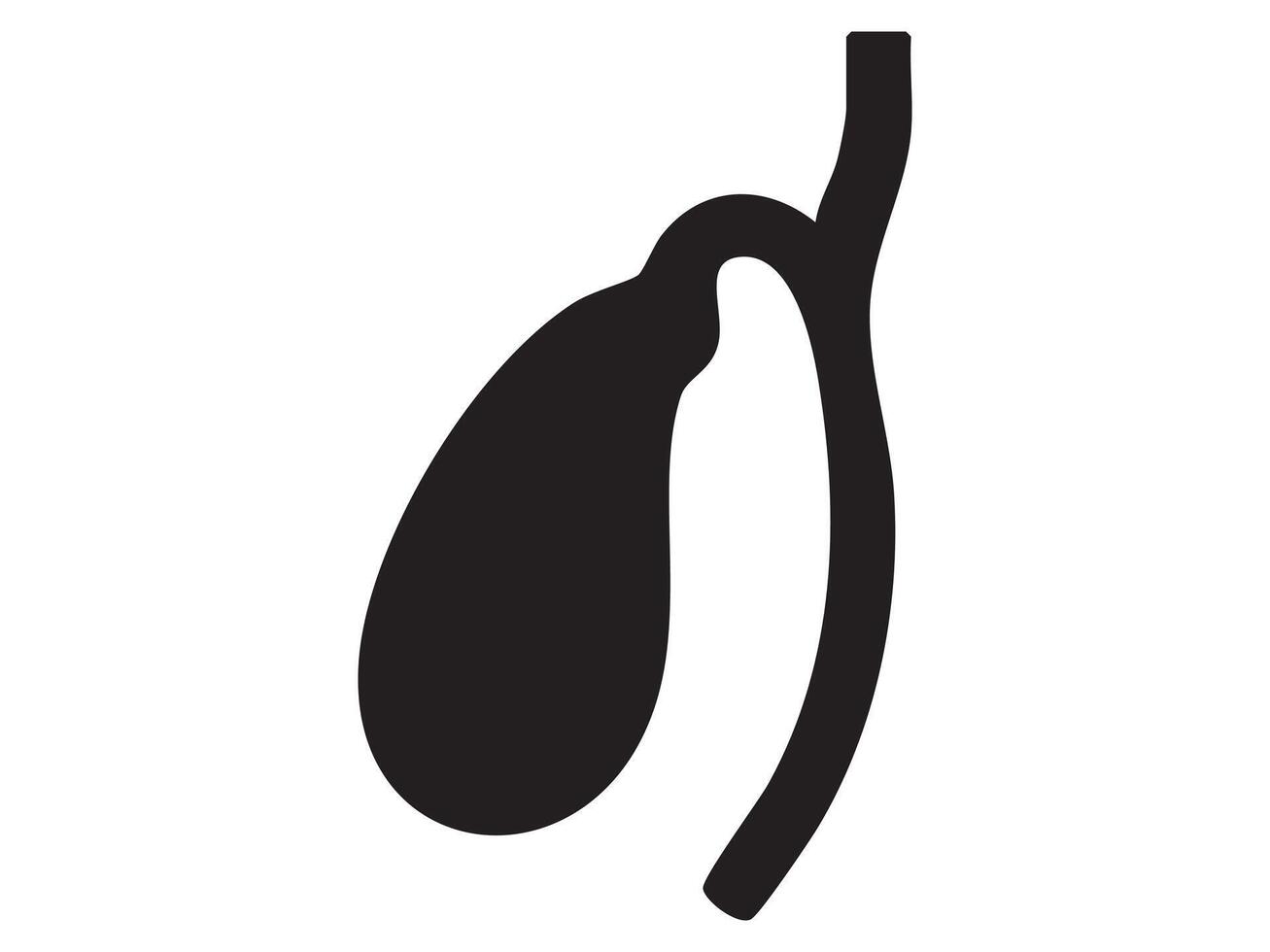 Black silhouette of gallbladder isolated on white background, graphic illustration. concept of digestive organ, human anatomy, medical icon, health, design element vector