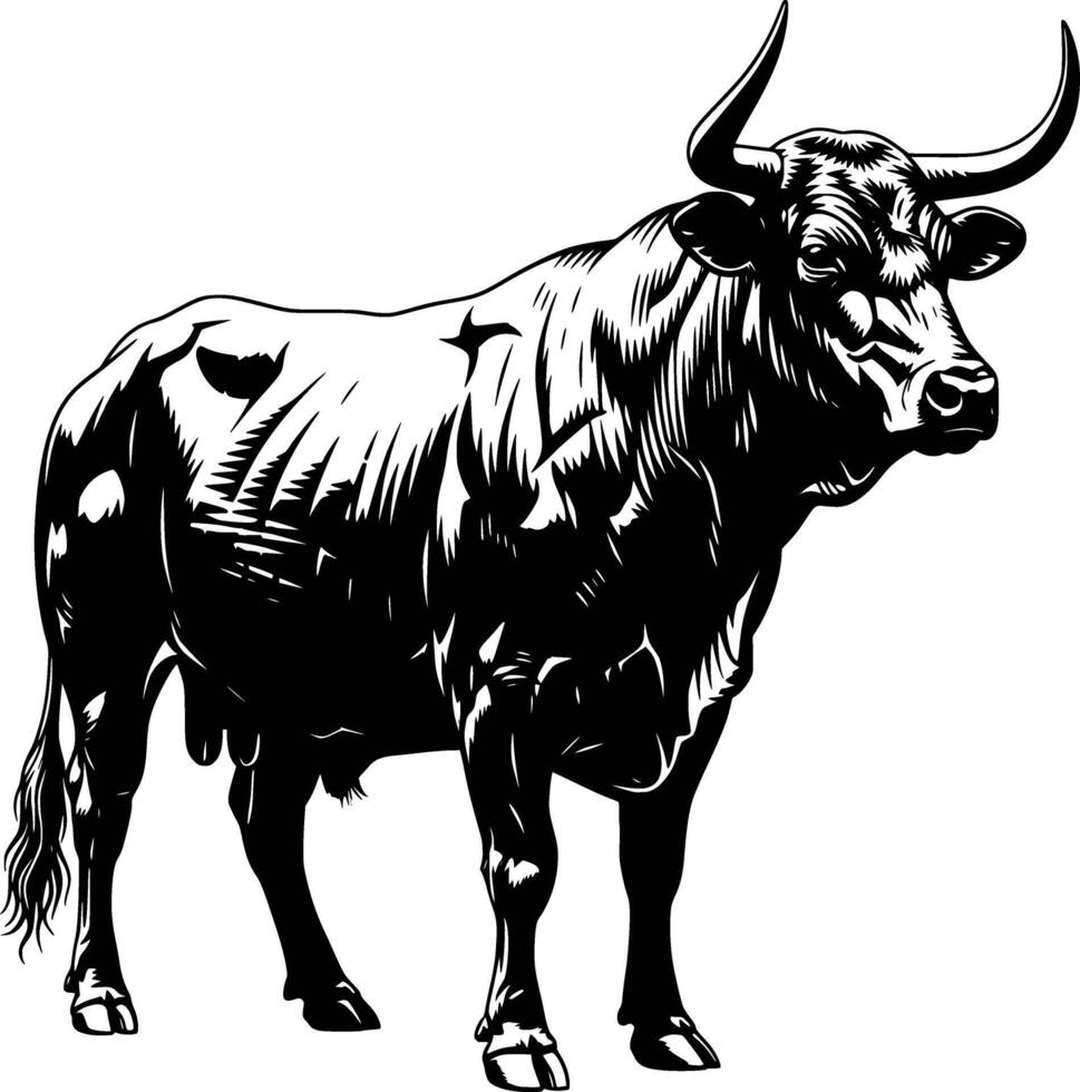 black silhouette cow shape sharp image white background vector