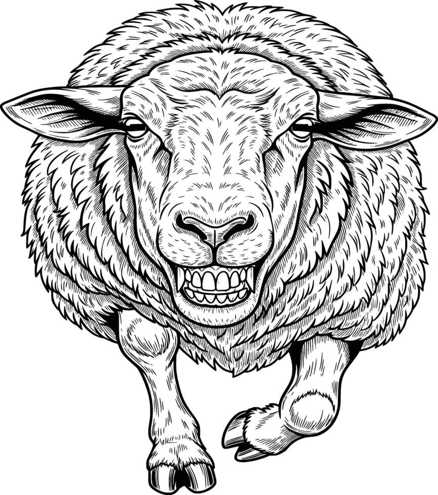 line art drawing of a female sheep white background detail vector