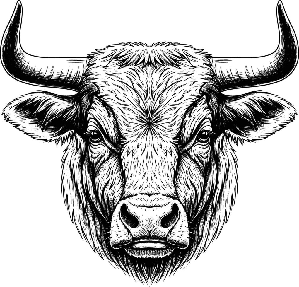 bull face image line art style white background vector