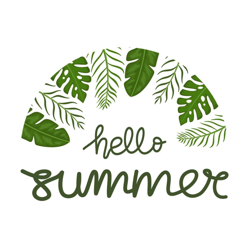 Hello summer. Decorative tropical leaves circle border vector