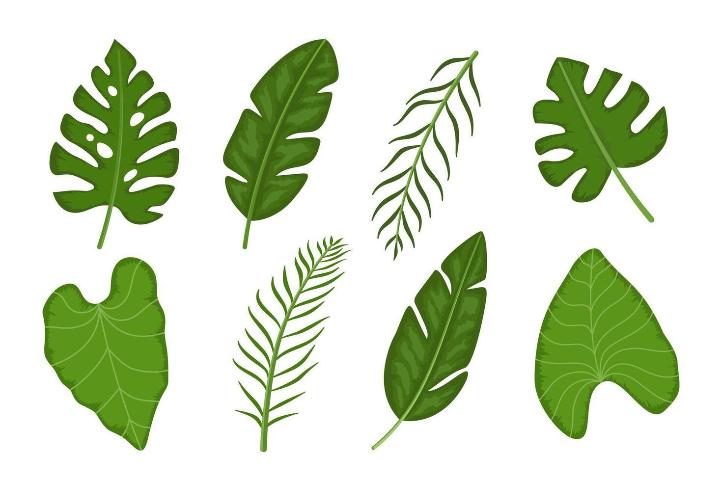 Set of tropical leaves illustration vector