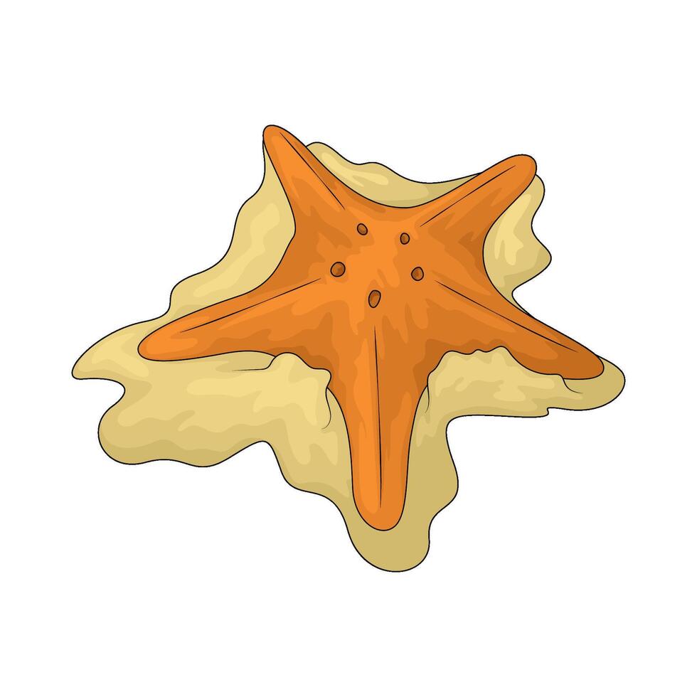 Starfish on the sand vector