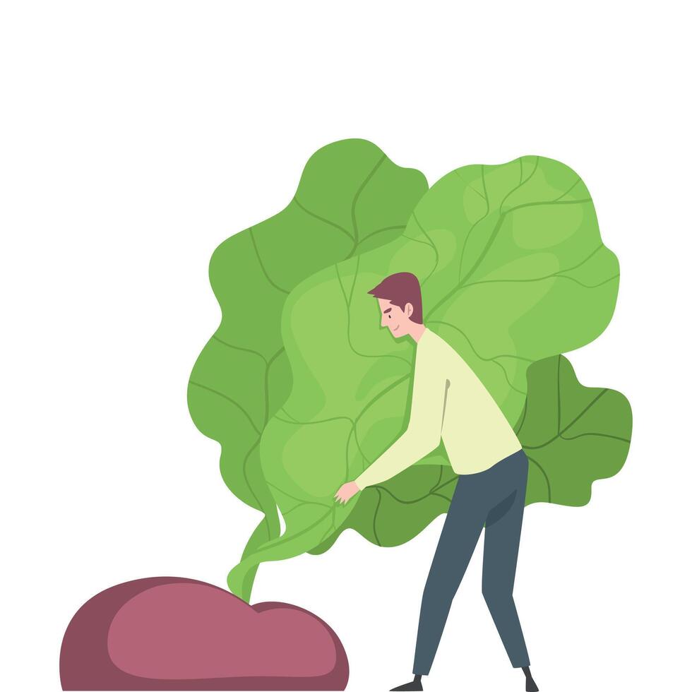 Little Man Pulling Huge Beet out of the Ground Illustration vector