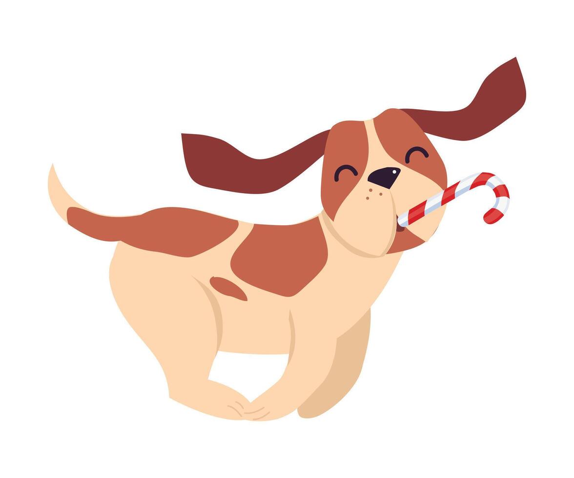 Cute Funny Beagle Dog Running with Candy Cane in its Mouth, Symbol of Xmas and New Year, Happy Winter Holidays Concept Cartoon Style Illustration vector
