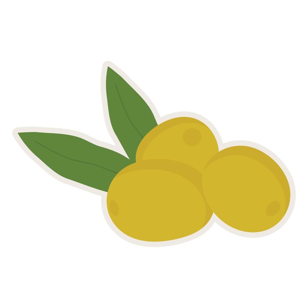 Olive oil icon design template for food and drink or cosmetic promotion. vector