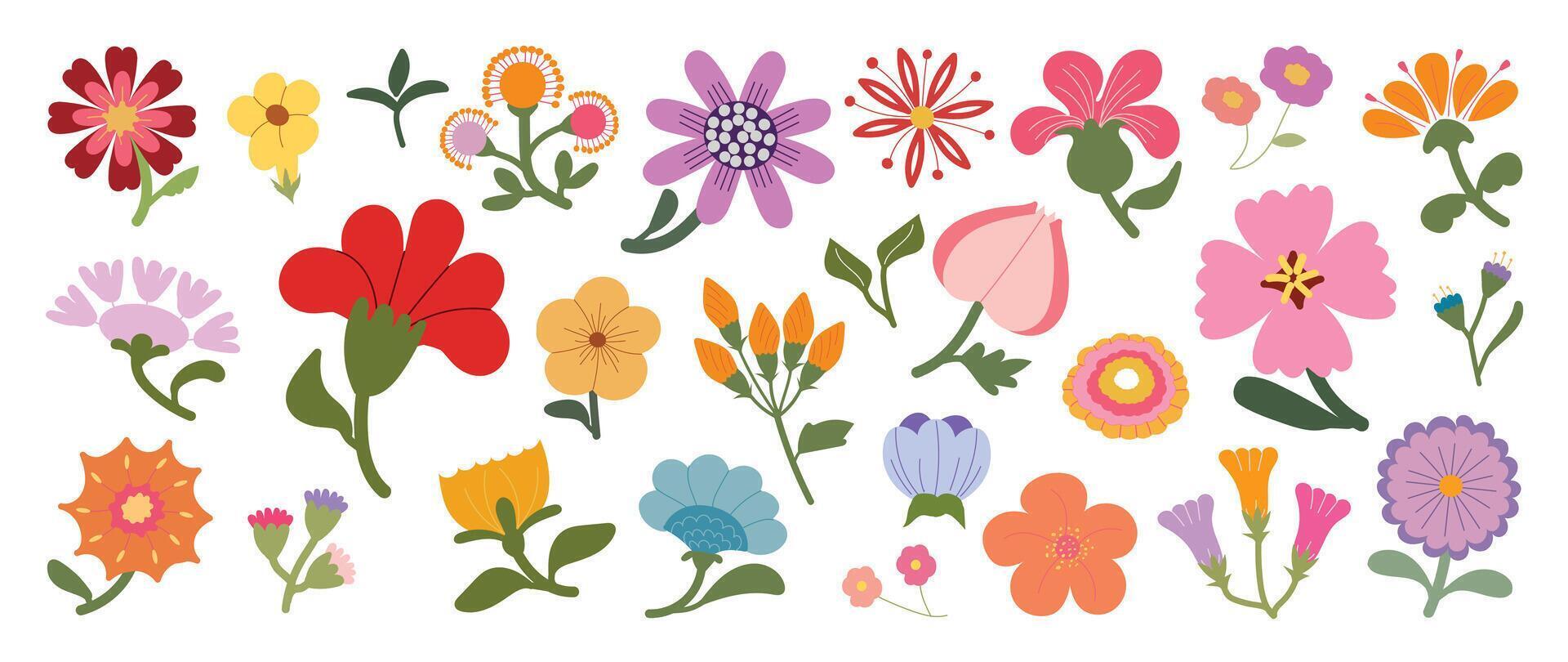 Various colorful flower illustrations vector