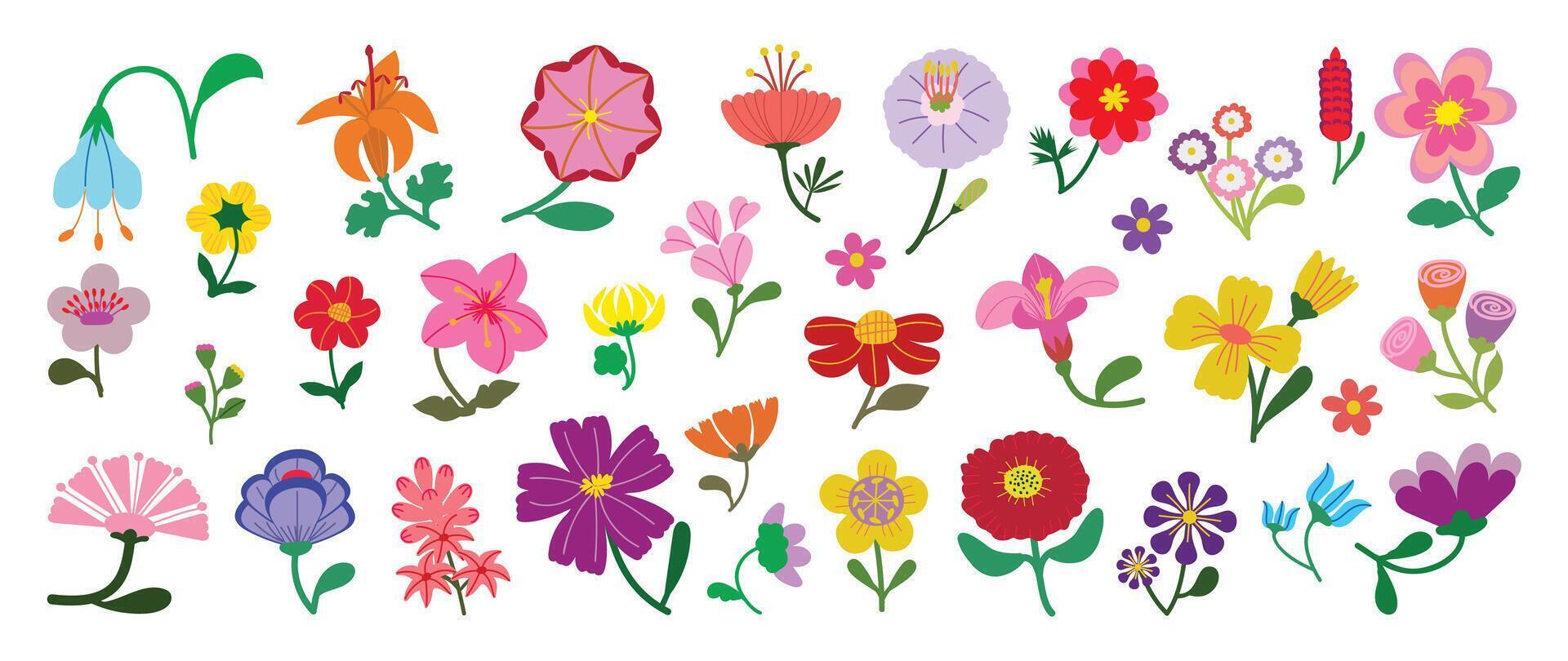 Colorful flower illustrations collection vector
