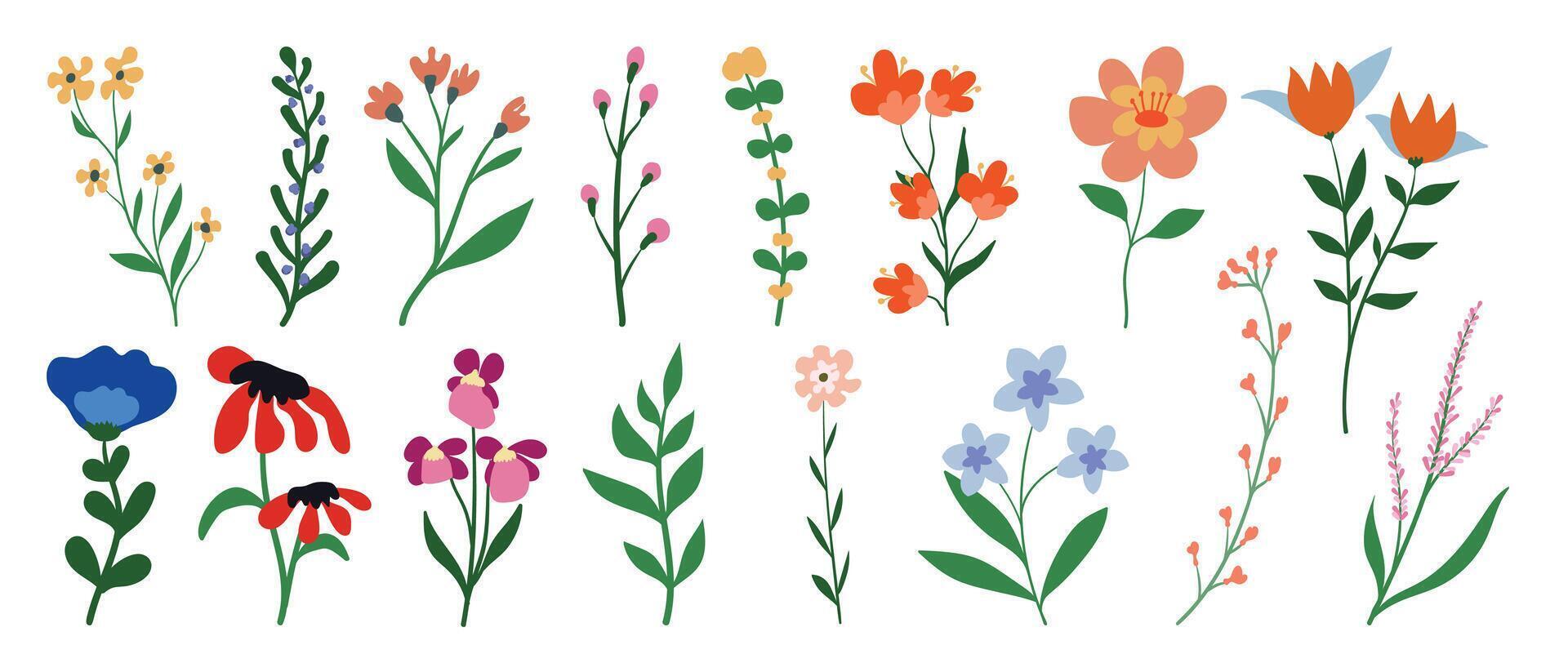 Colorful floral illustrations for design vector