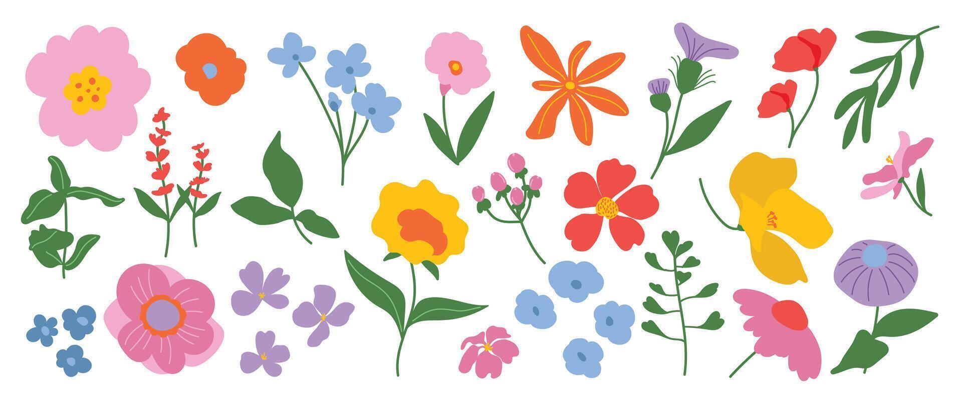 Colorful flower illustrations in various styles vector