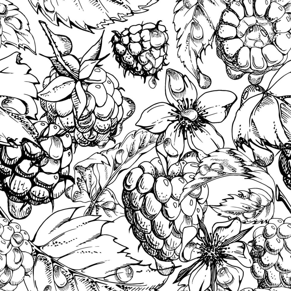 Raspberry ripe garden berries, flowers in water dew drops hand drawn in ink. Seamless isolated pattern tile. Home preserves, textile linens wallpaper, food store decor, packaging, scrapbooking vector