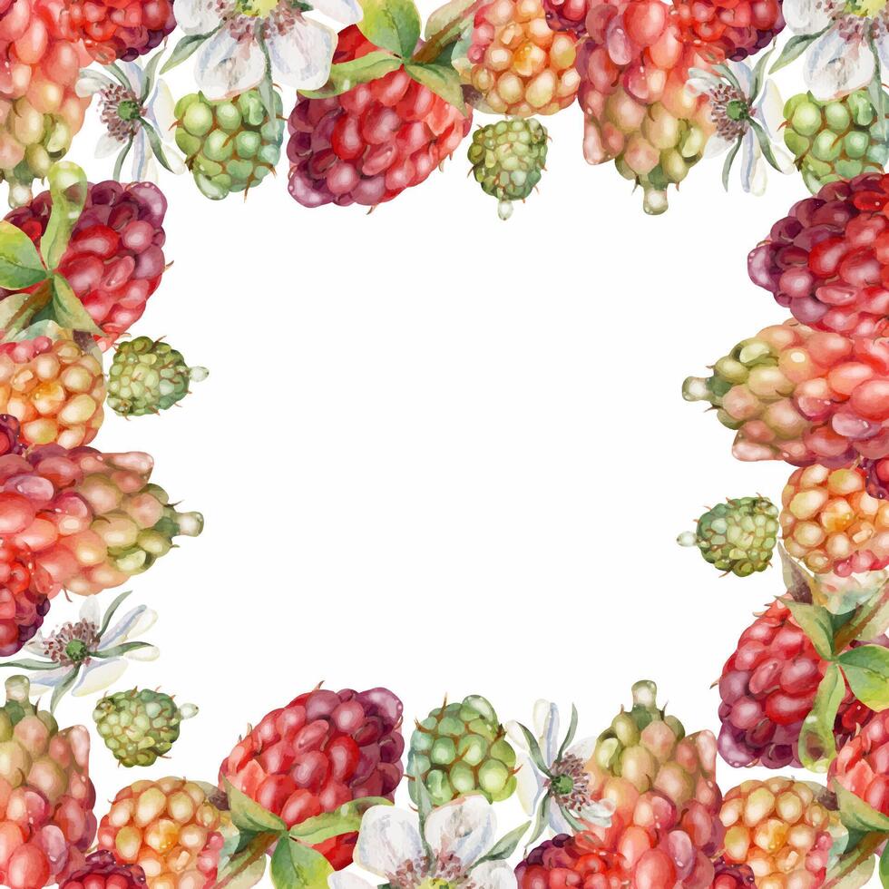 Colorful berry border illustration vector