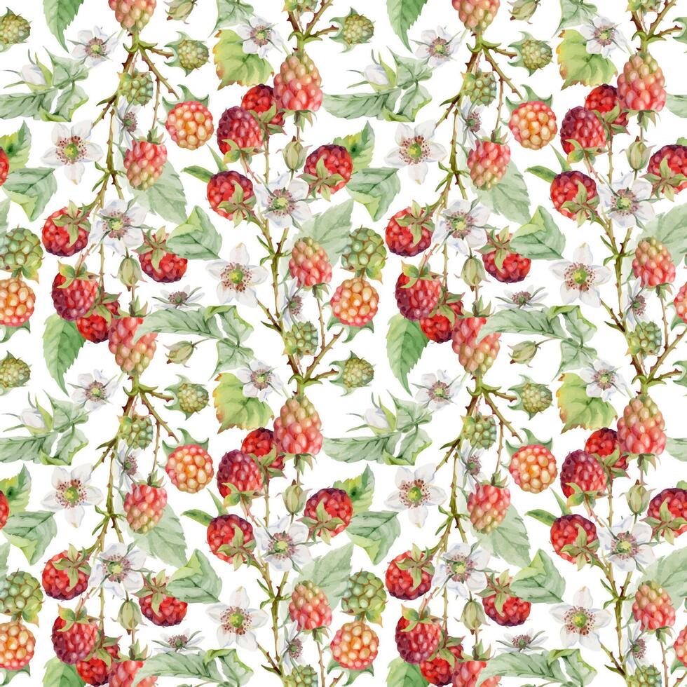 Colorful raspberry floral pattern design vector