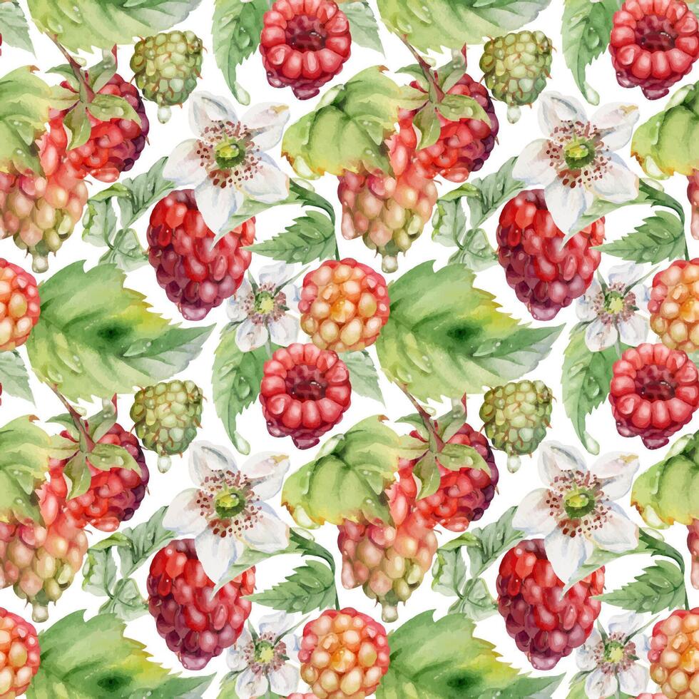 floral pattern with raspberries and strawberries vector