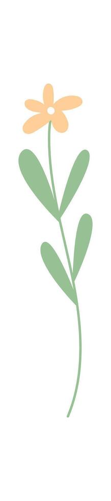 Colorful flower with green leaves. Charming plant design showing a vibrant flower in a simplistic style. This illustration highlights the beauty of nature, flat format, and suitable for garden use. vector