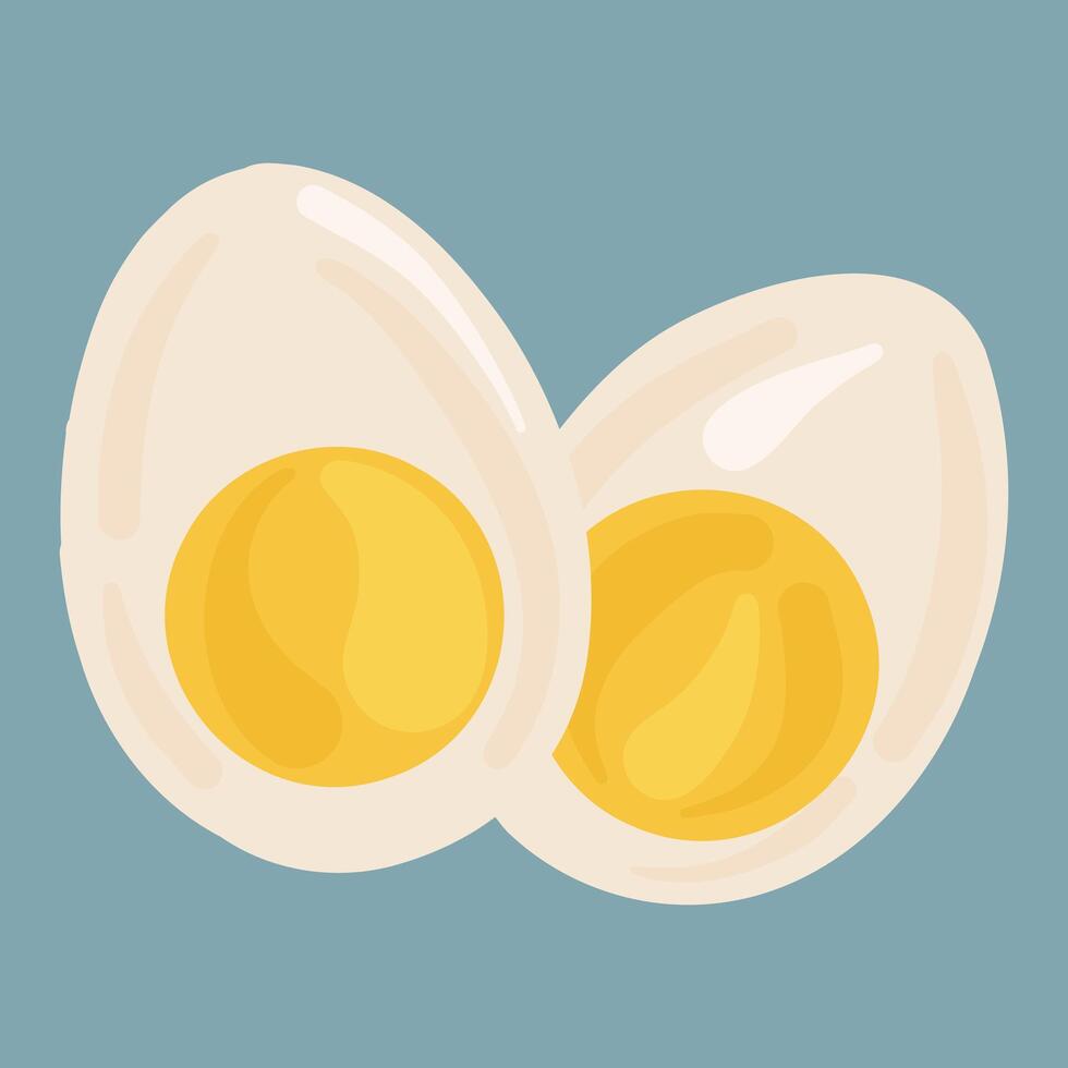 Boiled egg halves. For breakfast illustrations, food packaging. vector