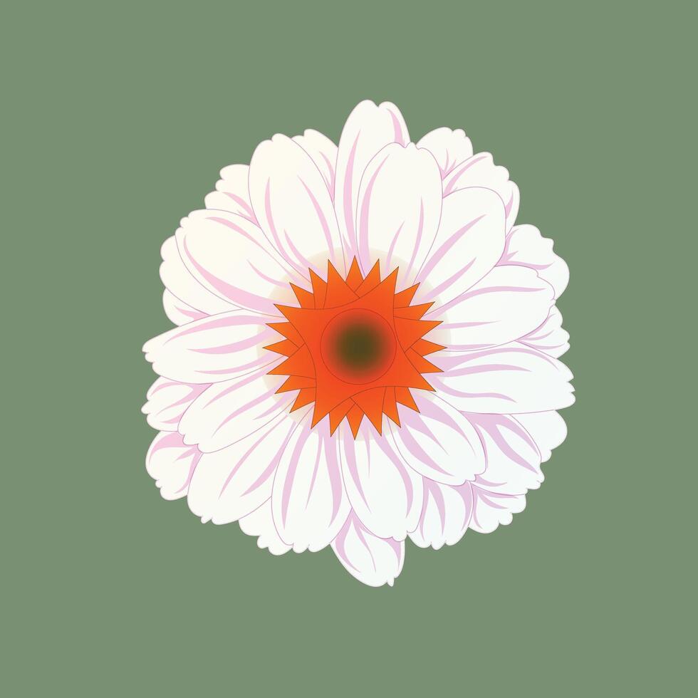 Elegant illustration of a white daisy flower with a vibrant orange center on green background. Perfect for nature, floral, botanical, summer, and decorative design themes in various creative projects. vector