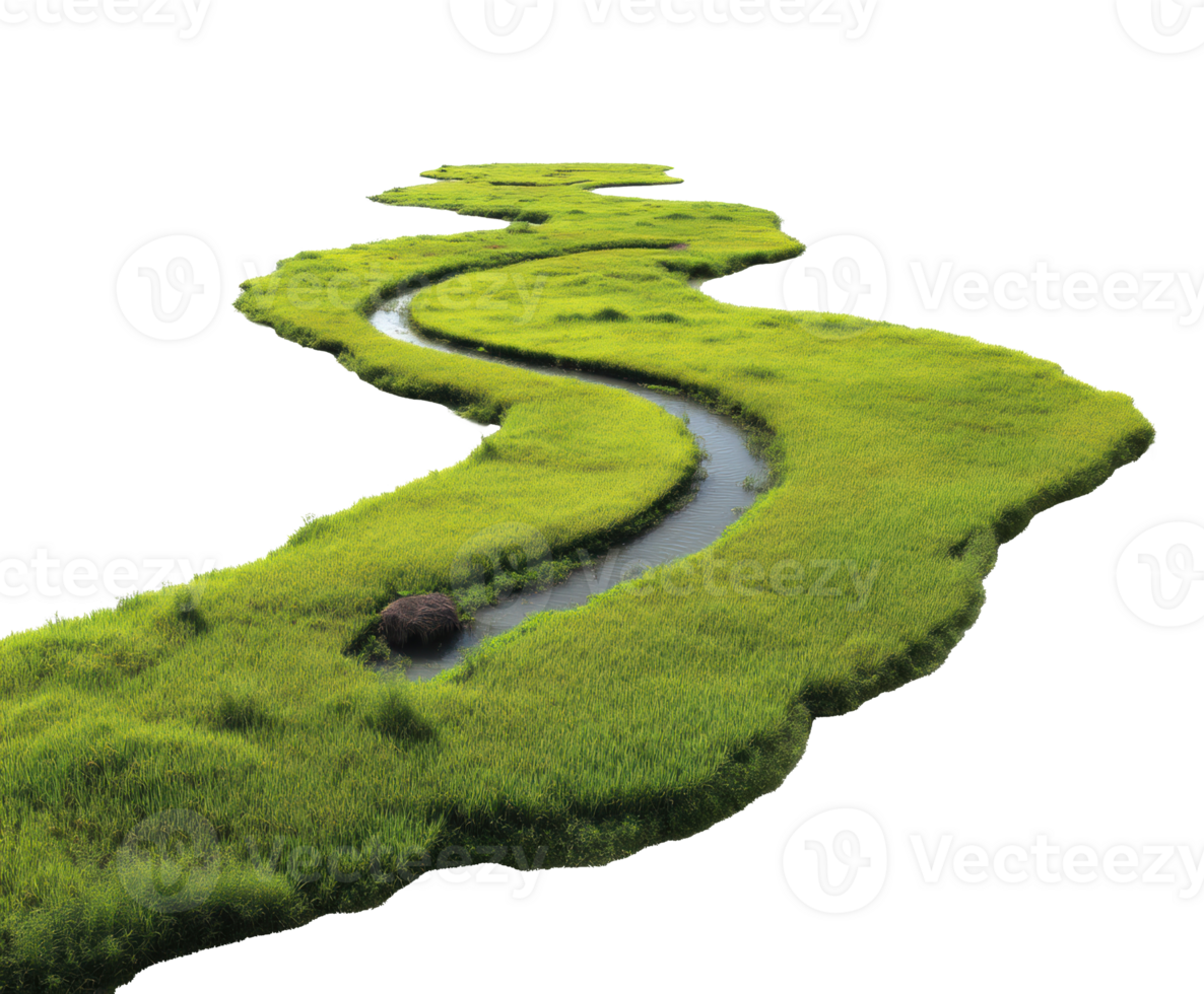 Serene green landscape with meandering river and lush grass png