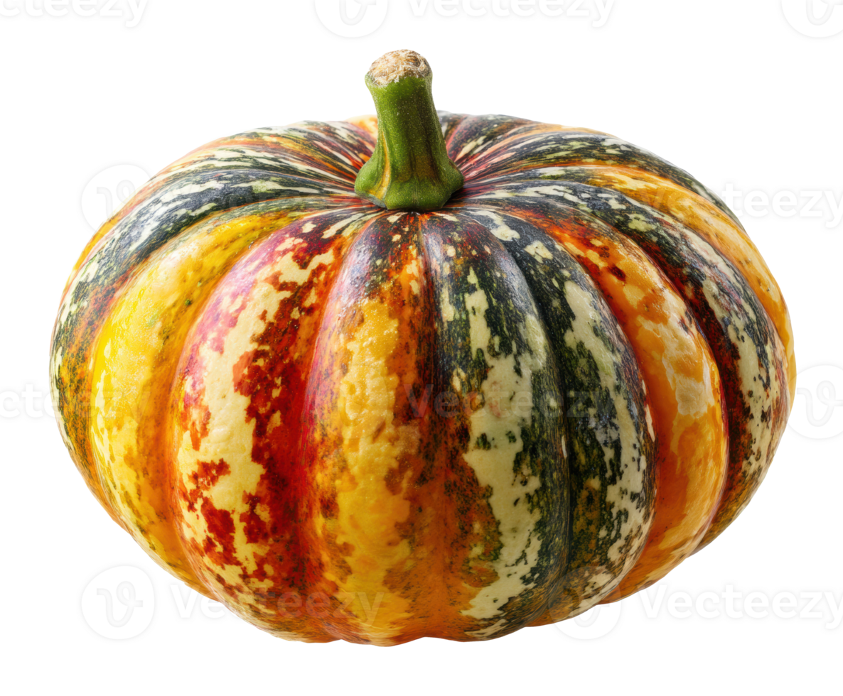Colorful pumpkin for fall decorations and seasonal recipes png