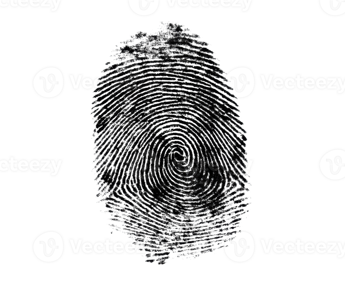 Unique fingerprint design for security and identification needs png
