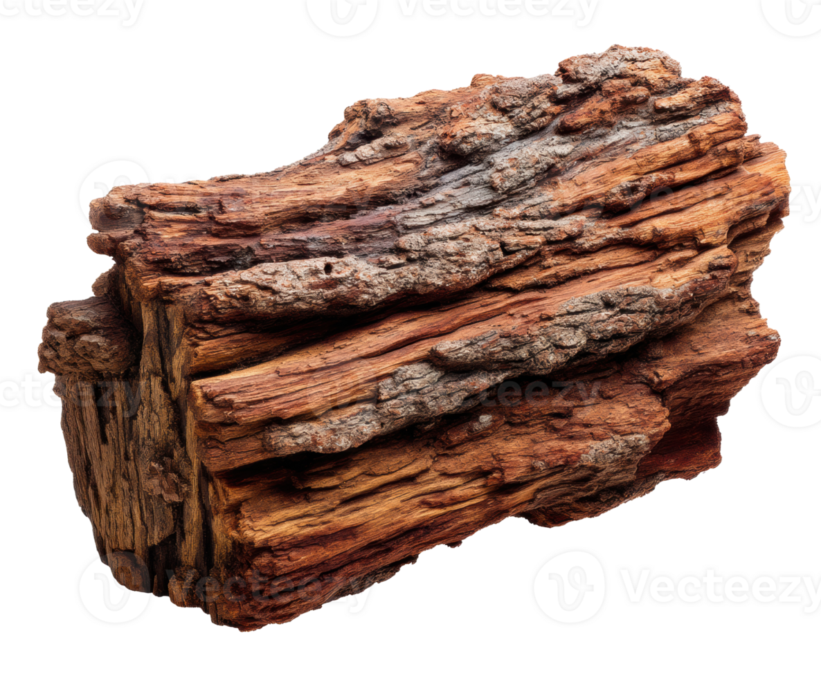 Rustic wooden log with rich texture for natural design projects png