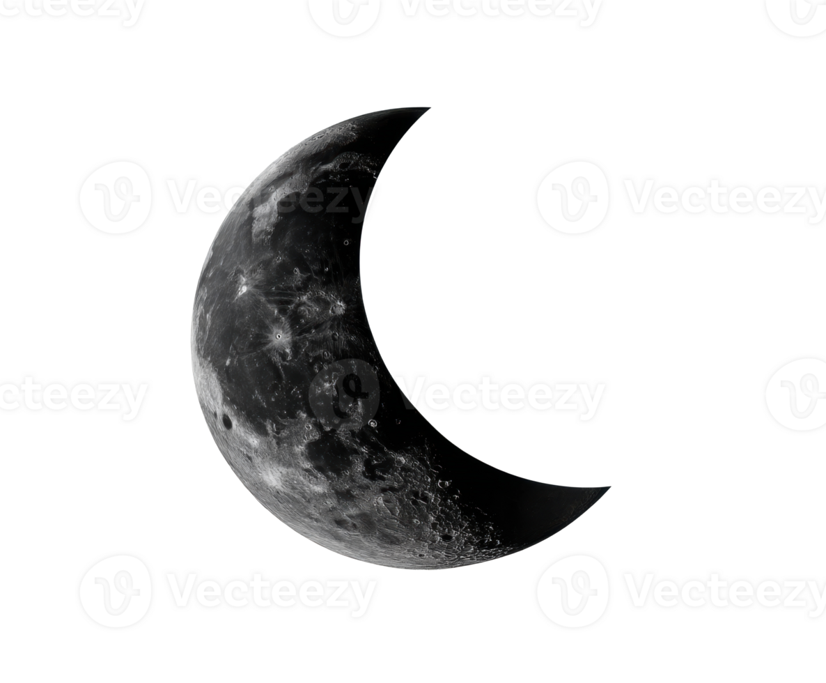 Crescent moon phase design for nocturnal themes png