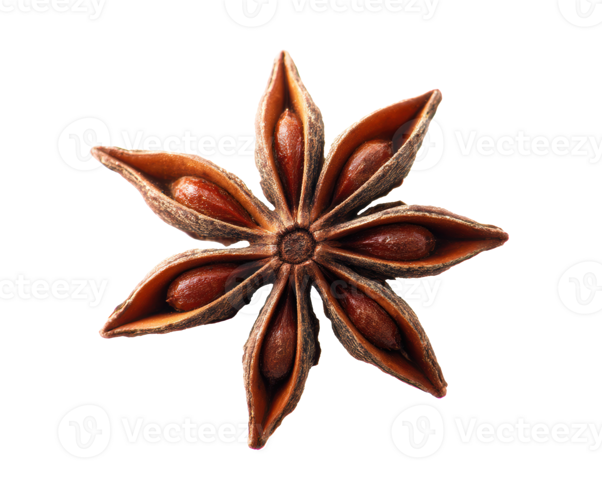 Star anise spice on a white background for culinary uses png