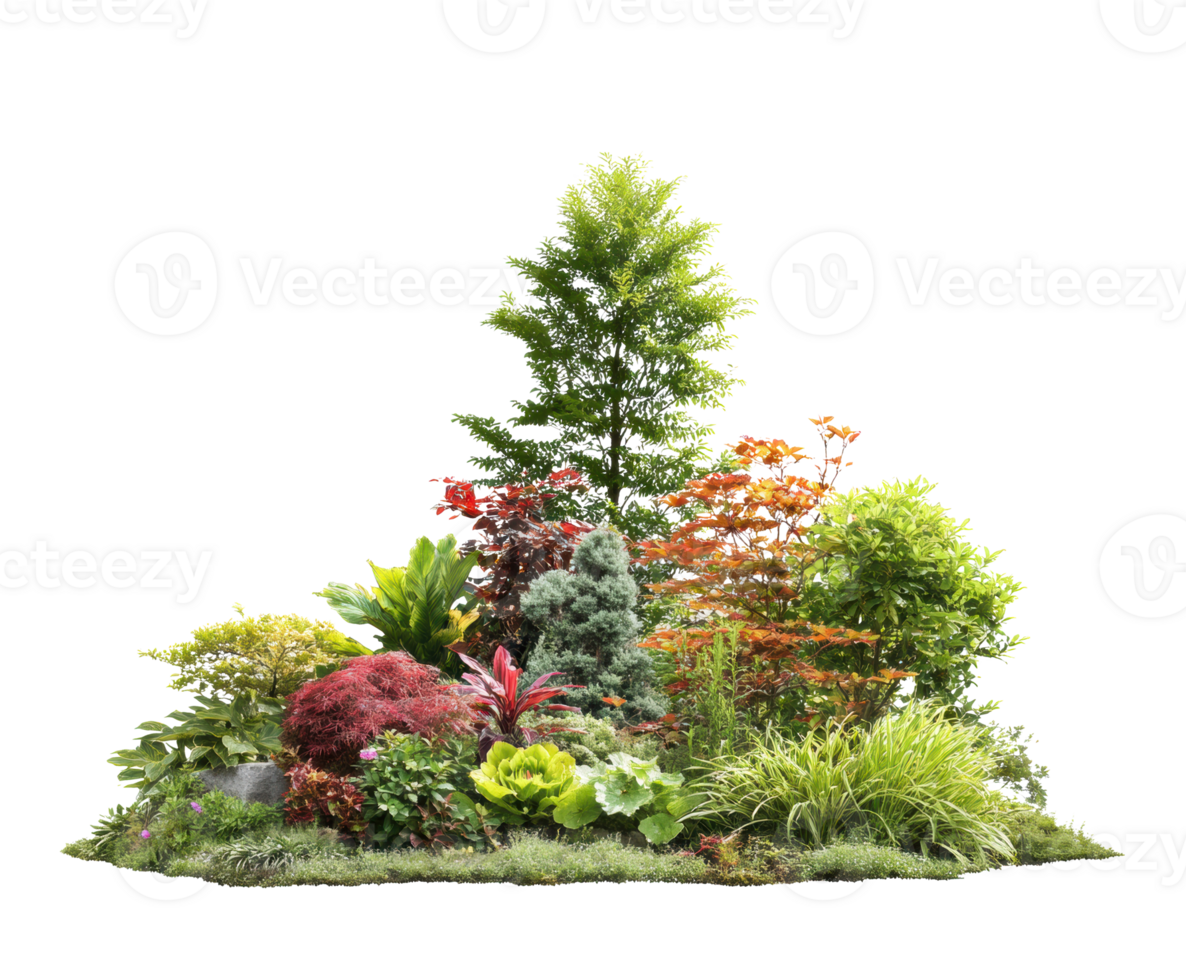 Beautiful garden arrangement with various plants and shrubs png