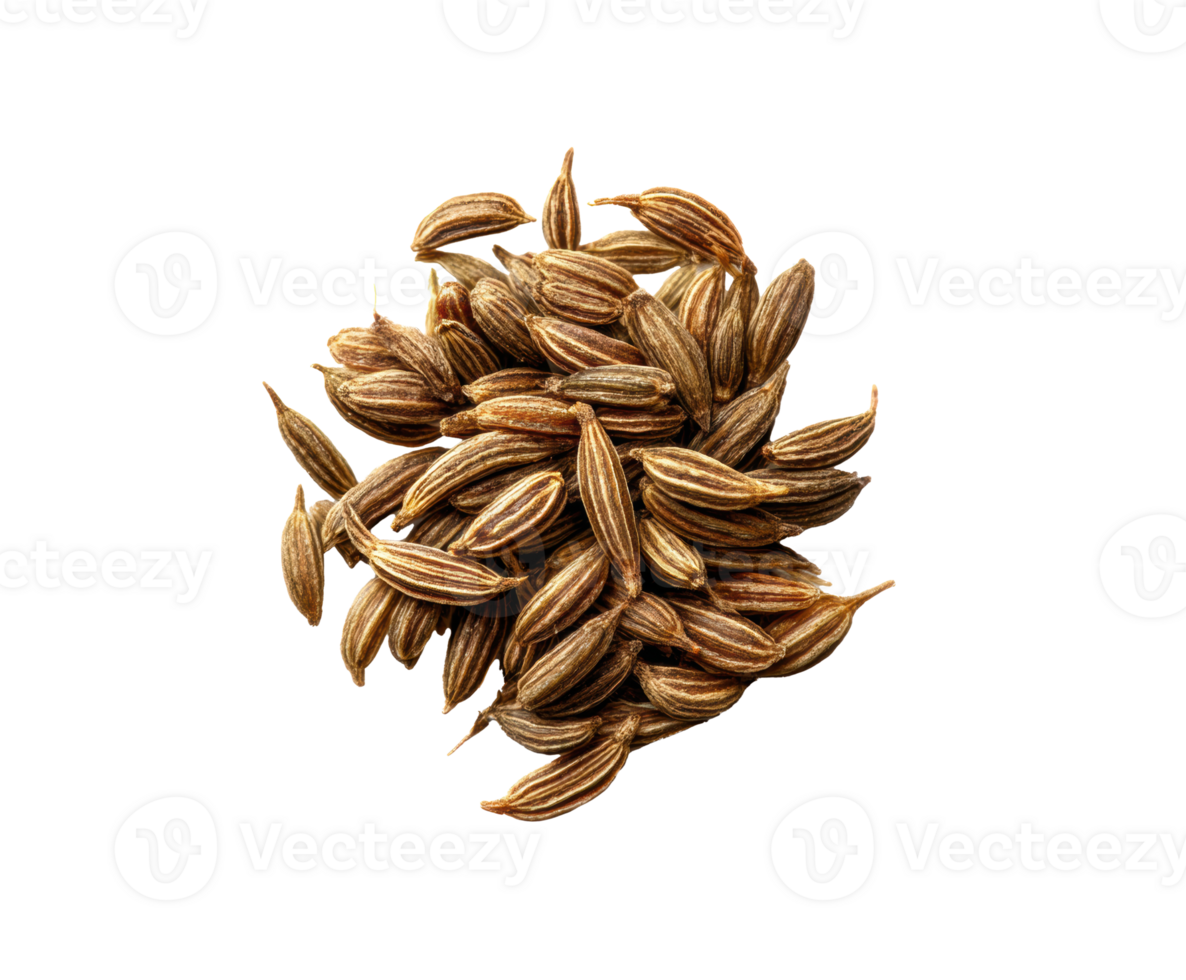 Cumin seeds for culinary use in home cooking and seasoning png