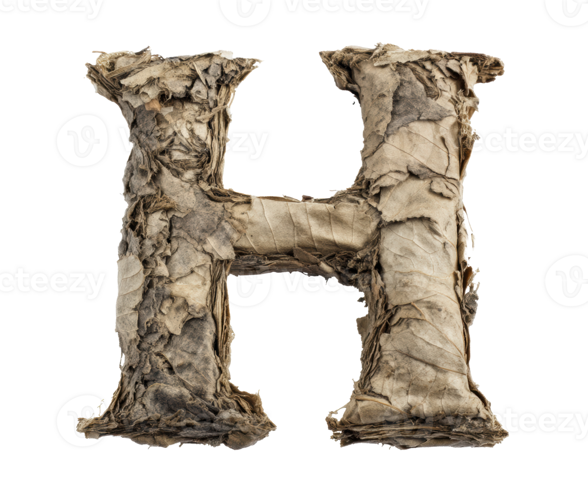 Crafting a natural H from organic materials png