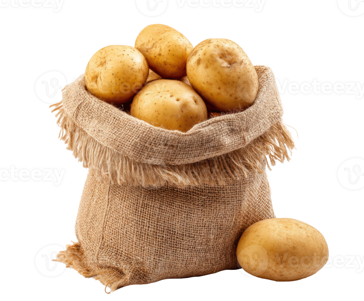Fresh harvested potatoes in a burlap sack for cooking png