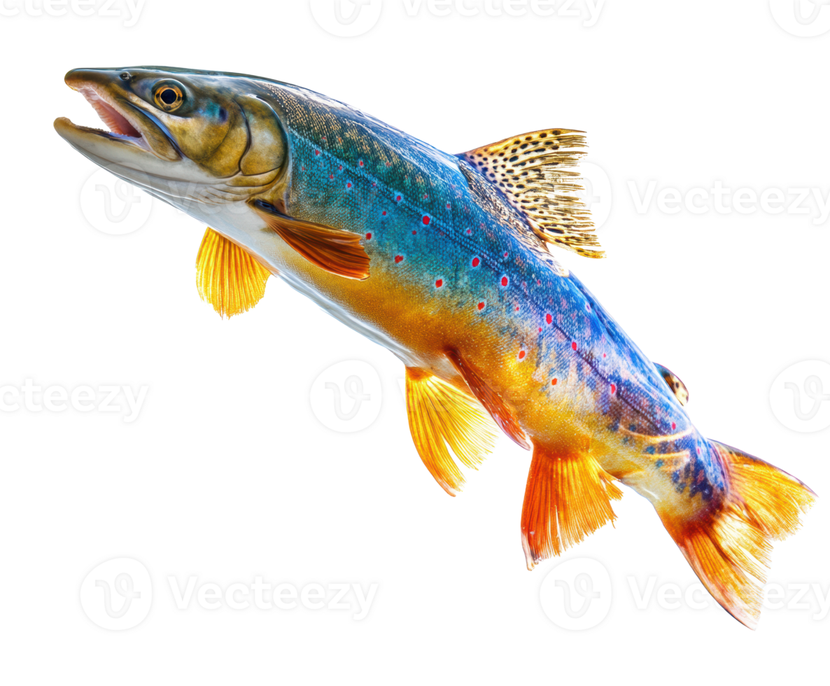 Colorful mountain trout jumping from clear water surface png