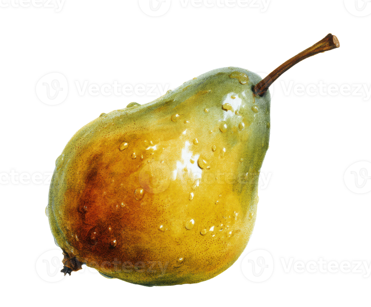 Ripe pear with droplets, perfect for fresh fruit design png