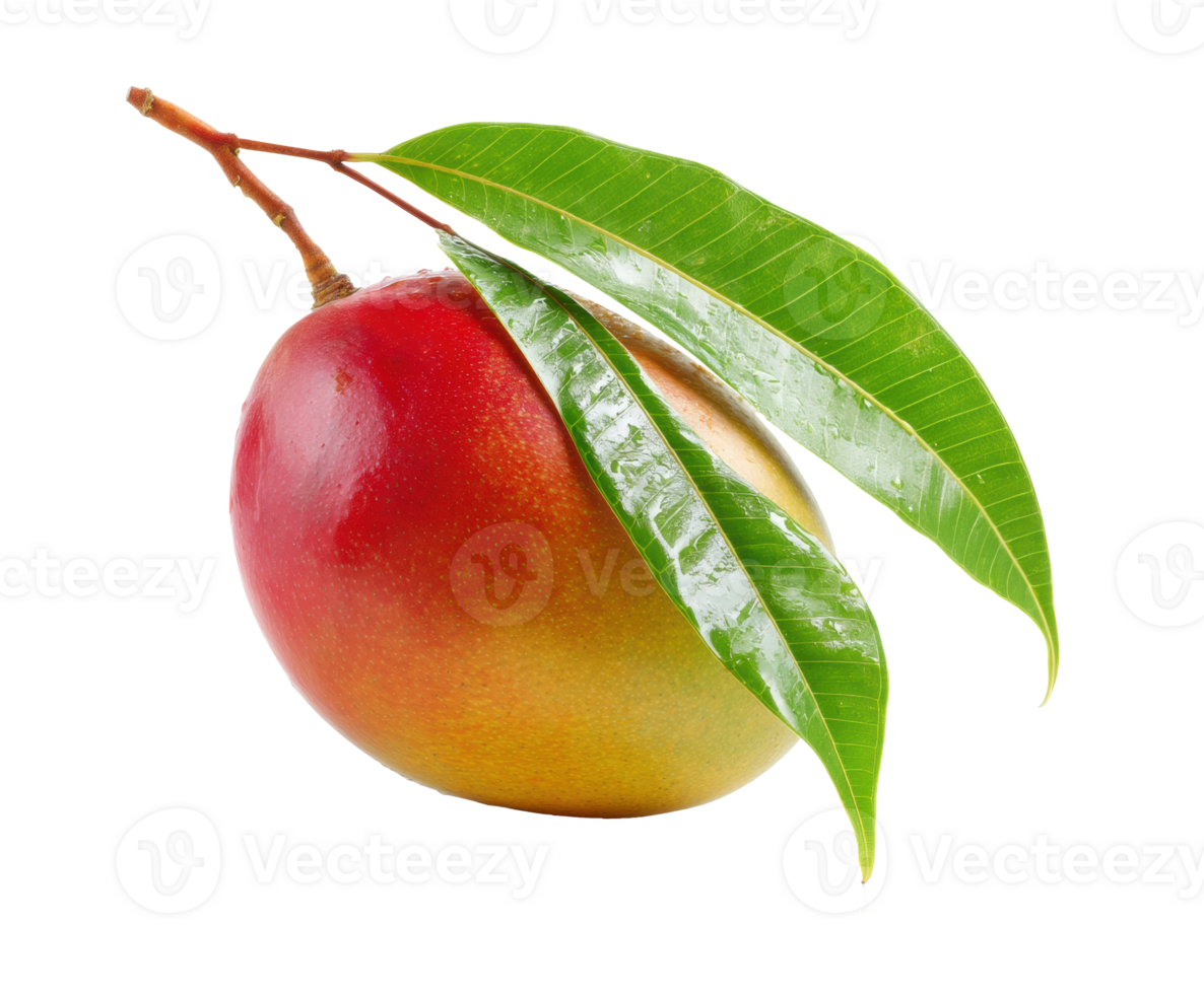 Fresh mango with green leaves on a natural background png