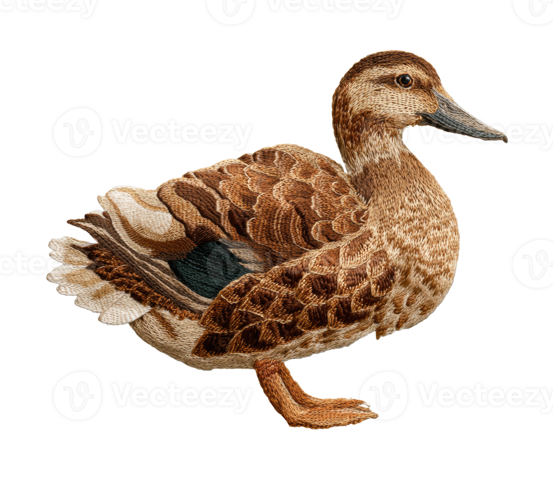 Beautiful embroidered duck design for home decor and crafts png