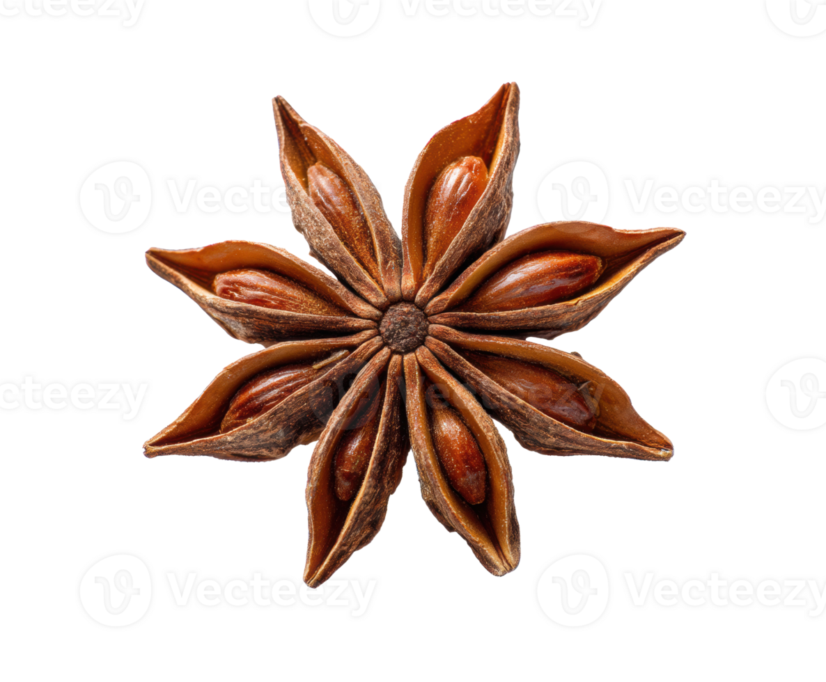 Star anise spice with distinctive star shape and seeds png