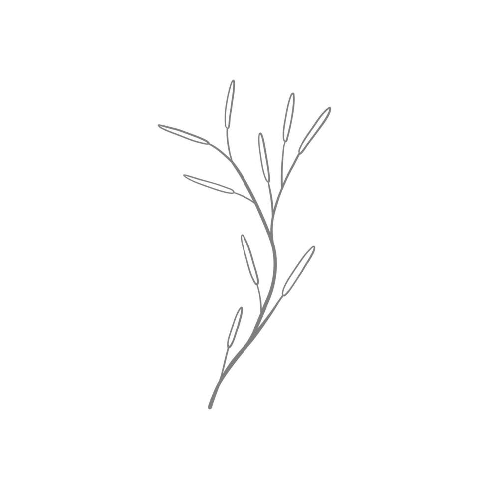 a simple drawing of a branch with leaves vector