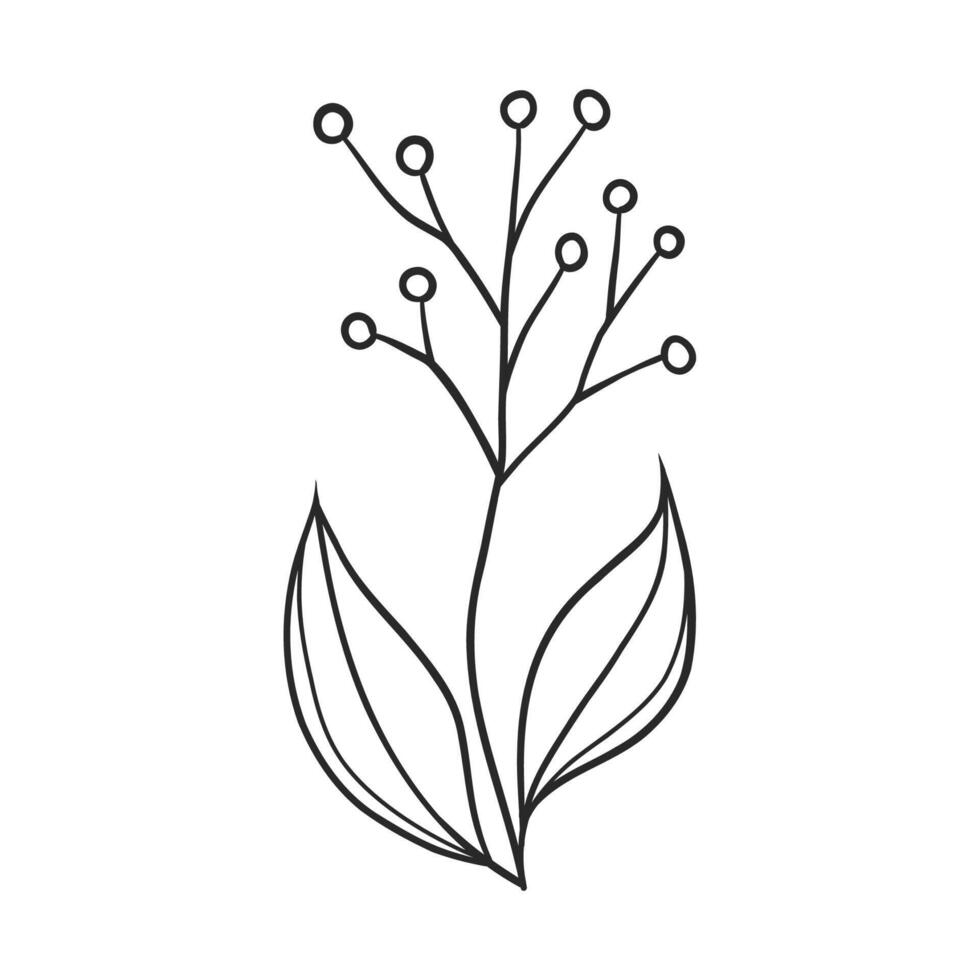 simple outline of a plant with leaves vector