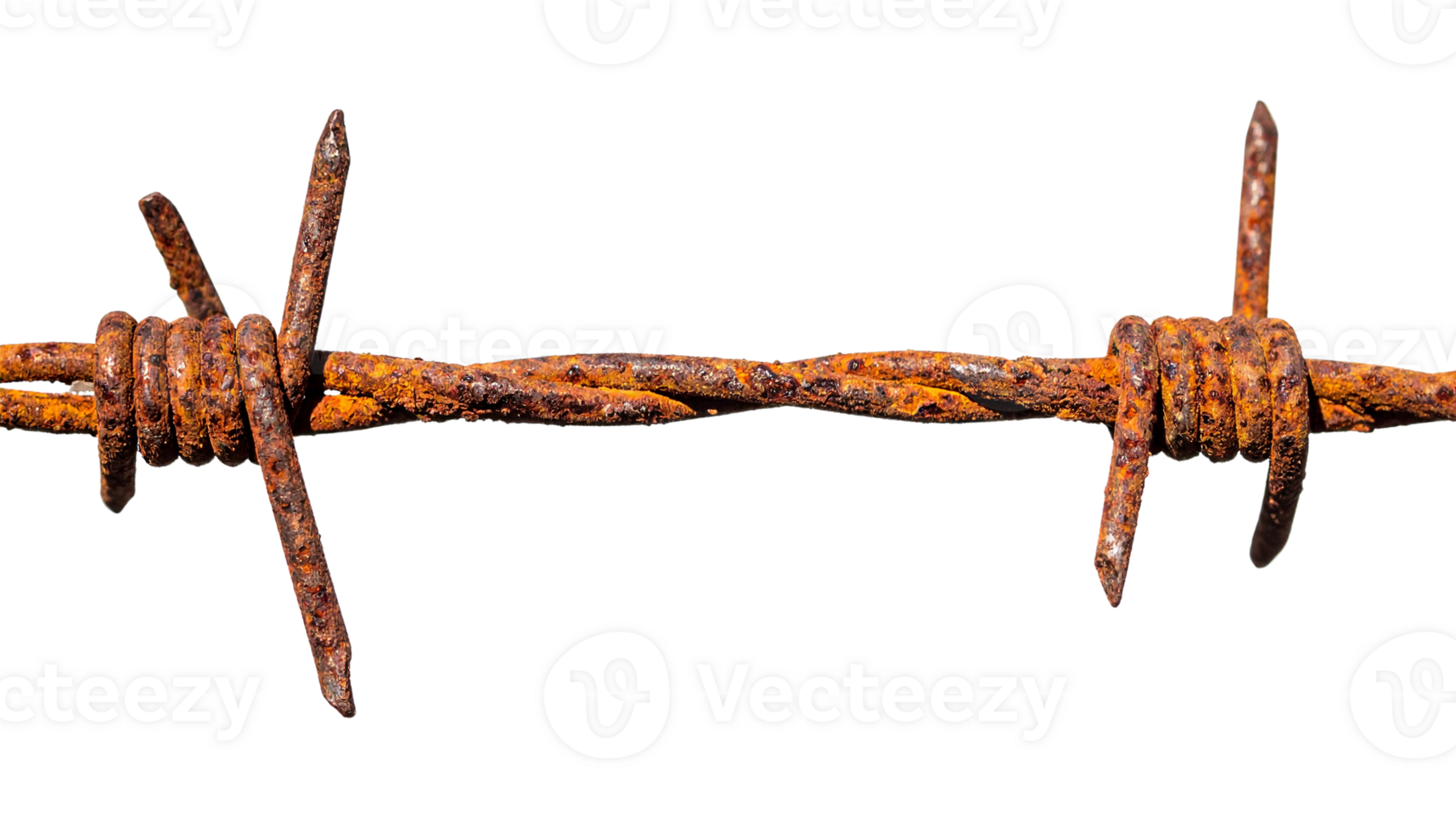A section of rusty barbed wire isolated on transparent background png