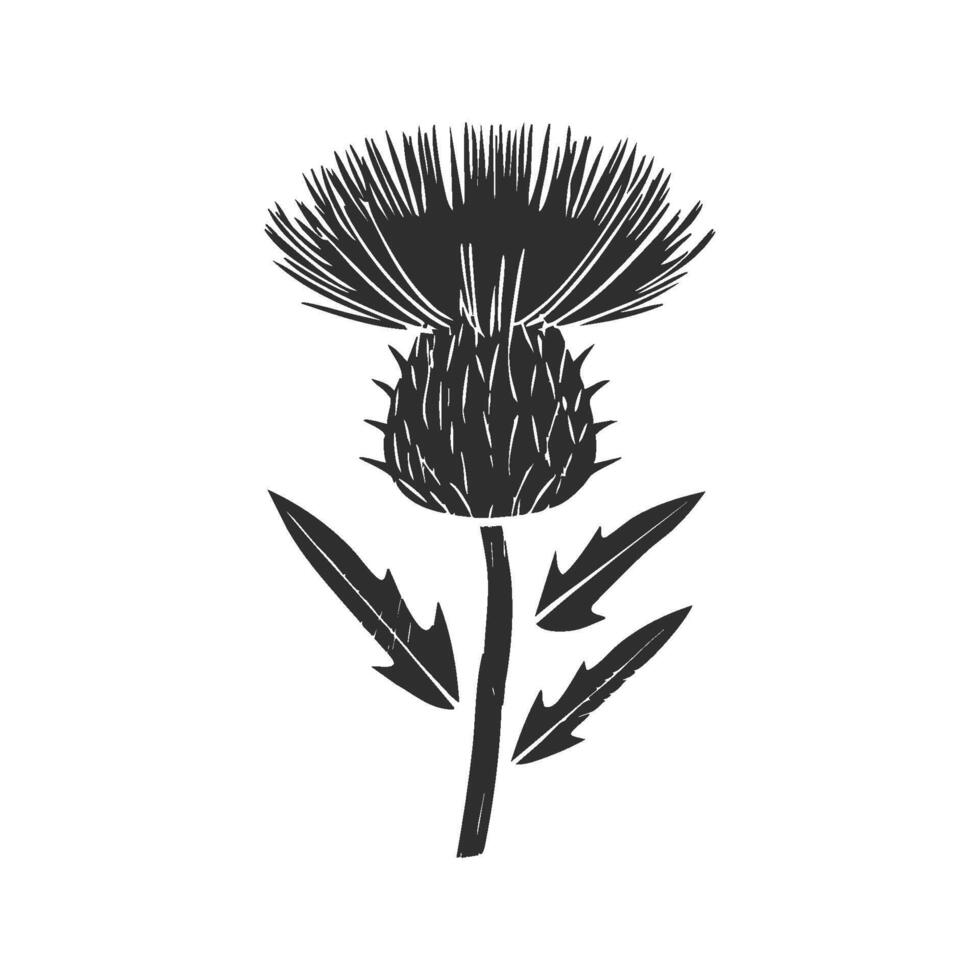 Thistle Flower Silhouette Illustration. Symbol Of Scotland And Resilience. Isolated Illustration vector