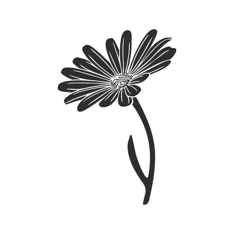 Daisy Flower Silhouette Illustration. Nature'S Simplicity And Elegance Isolated Illustration vector