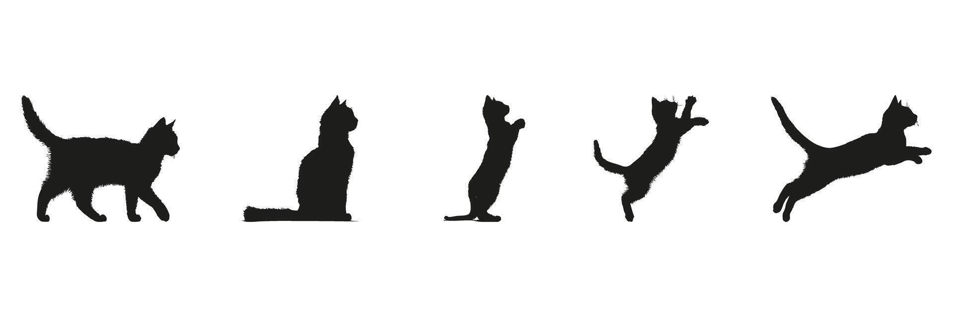 Cat Movement Silhouette Set. Feline Behavior And Activity Symbol Collection. Pet Observation And Animation Use. Isolated Illustration vector