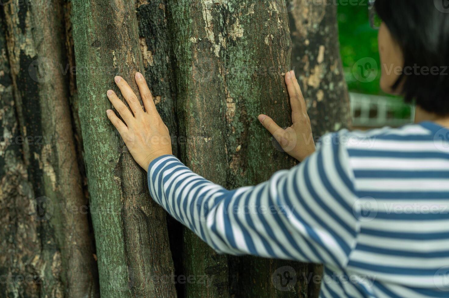 Woman touching tree trunk with hands. Forest bathing therapy for natural healing and mindful reconnection with nature. Wellness retreat. Forest bathing meditation and sustainable wellness grounding. photo