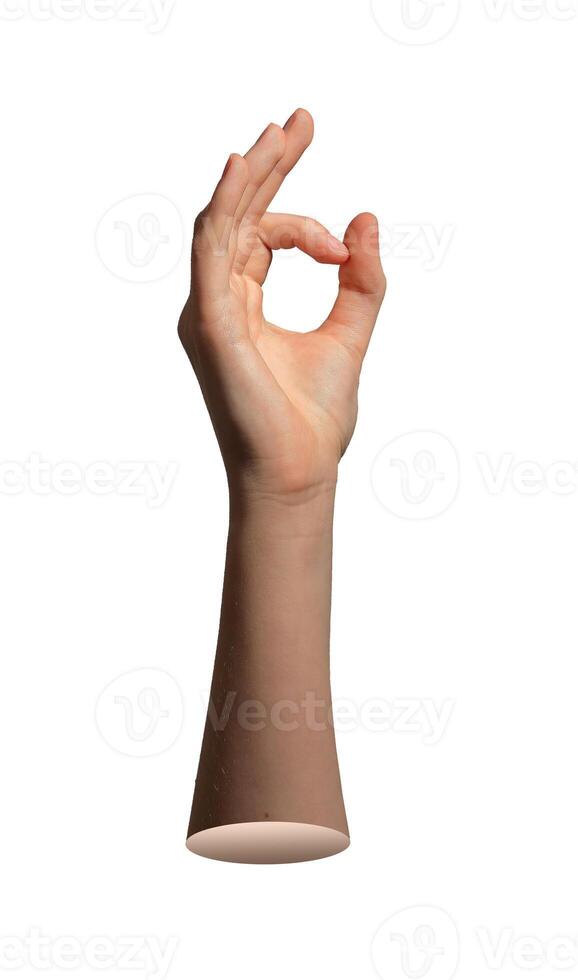 Okay finger gesture. Woman s hand and arm raised in cool round pose showing acceptance, approval, photo