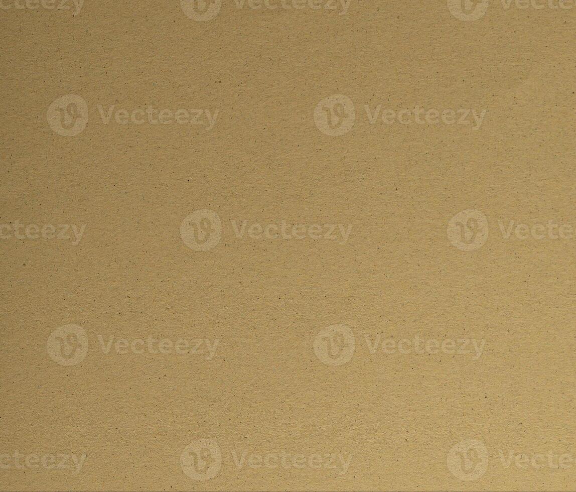 Premium olive green designer paper with a smooth matte texture, offering an elegant and minimalistic photo