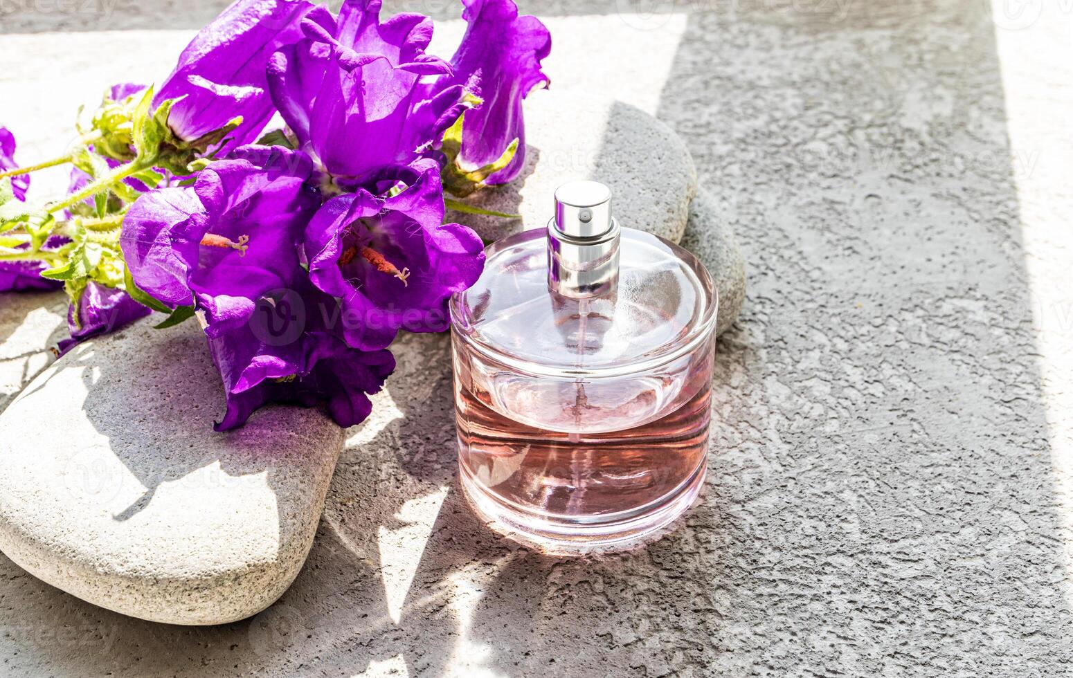 A luxury bottle of women's perfume stands on a gray cement background with round stones and chic purple flowers. sunlight. A copy of the space. photo