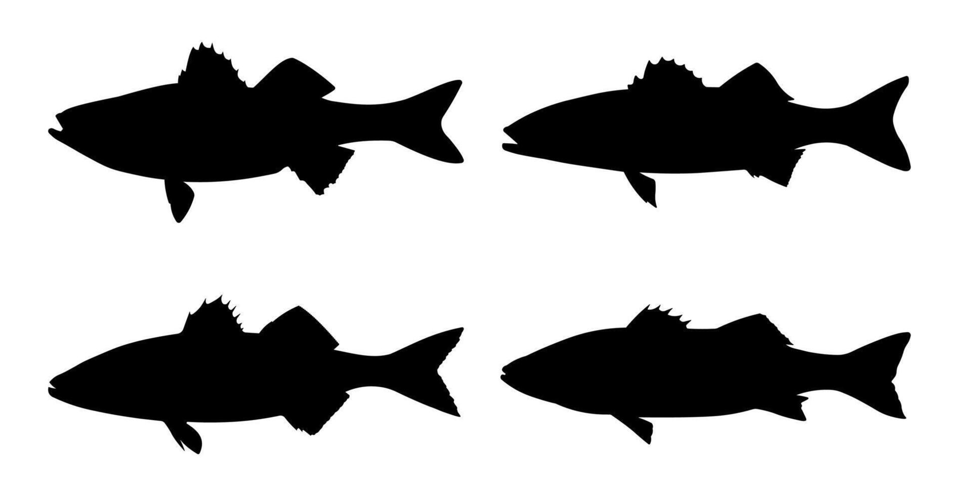 Sea Bass Fish Silhouette Collection. Marine Animal Icon Set in Black Style vector