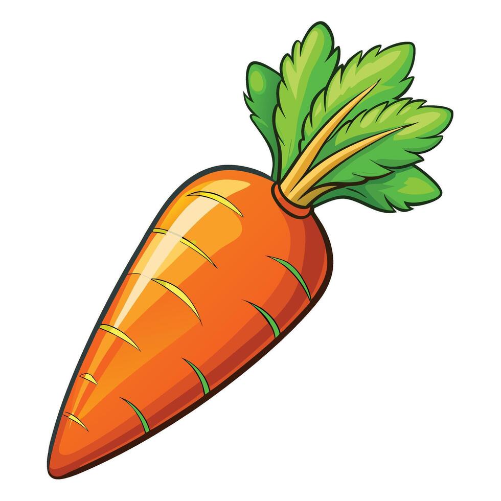 carrot vectorillustration isolated on white background vector